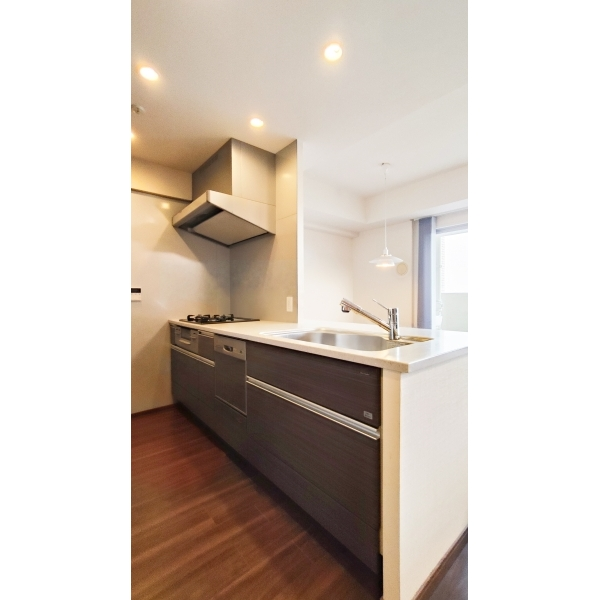 ライオンズ藤が丘リビオガーデンズ その他画像