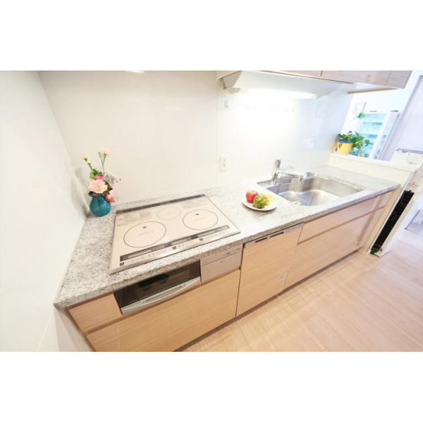 パークタワー東雲 その他画像