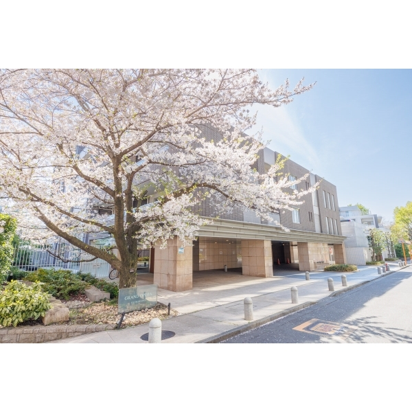 グランドオペラつつじヶ丘 その他画像