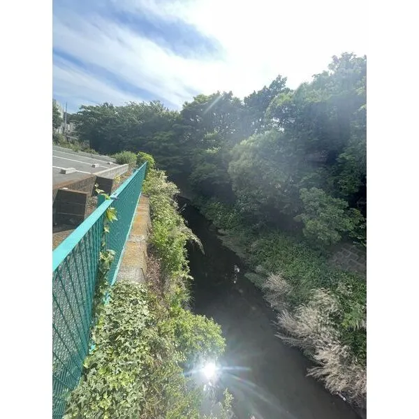 三浦郡葉山町長柄 現地(河川部分)