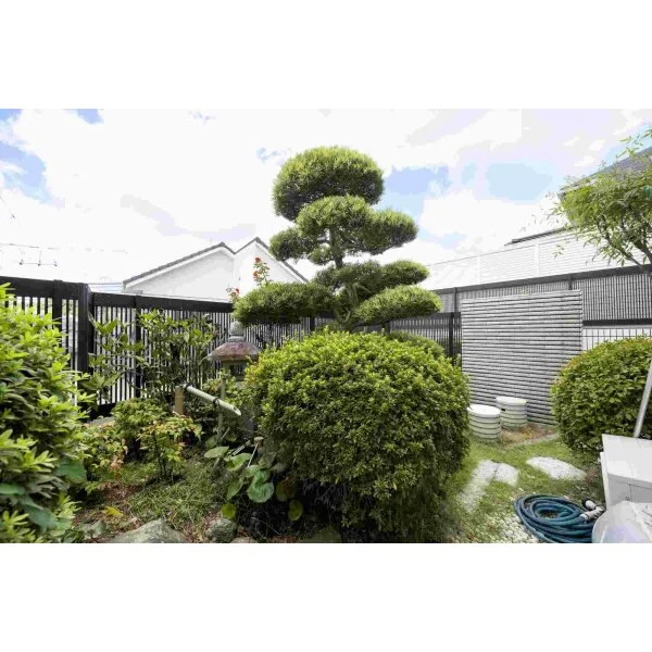 高槻市浦堂本町 その他画像
