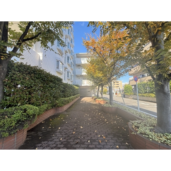 メイゾン仲池上 その他画像