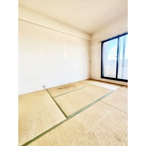 ウィズ柏の葉 その他画像
