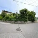 柏市布施新町１丁目 その他画像