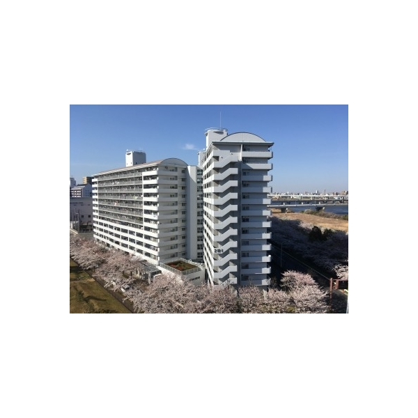 さくらマンション小松川 外観