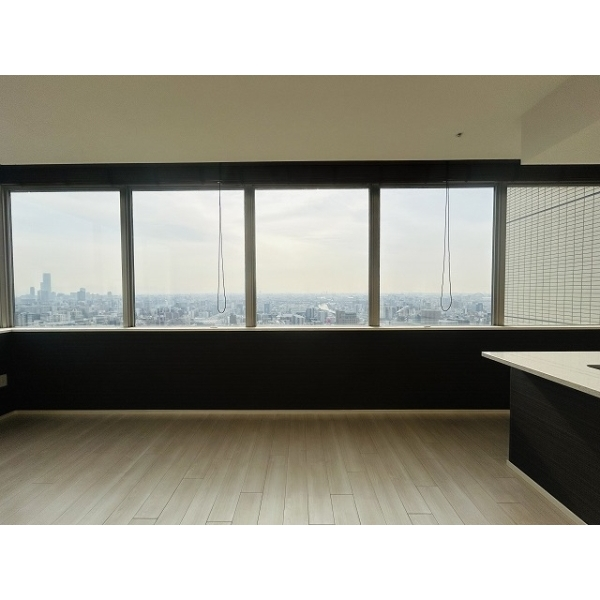 ジオタワー南堀江 その他画像