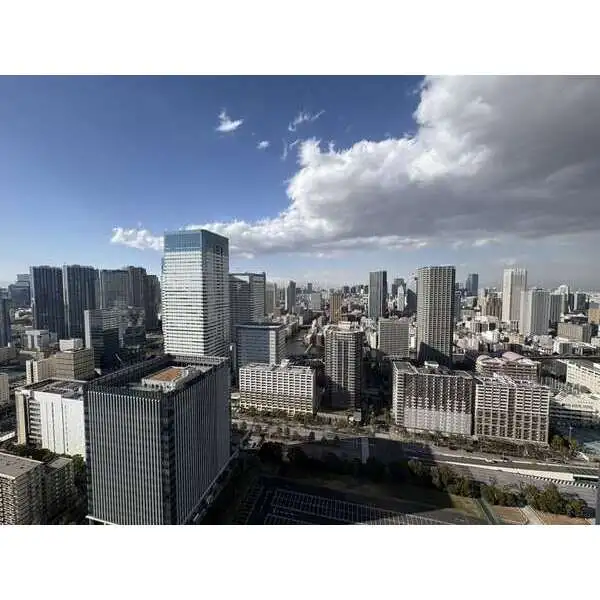 ザ・パークハウス晴海タワーズティアロレジデンス その他画像