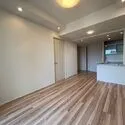 ザ・パークハウス晴海タワーズティアロレジデンス その他画像