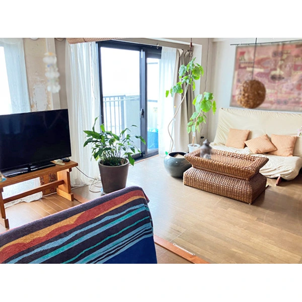 ダイアパレス湘南・虹ケ浜オーシャンビュー その他画像