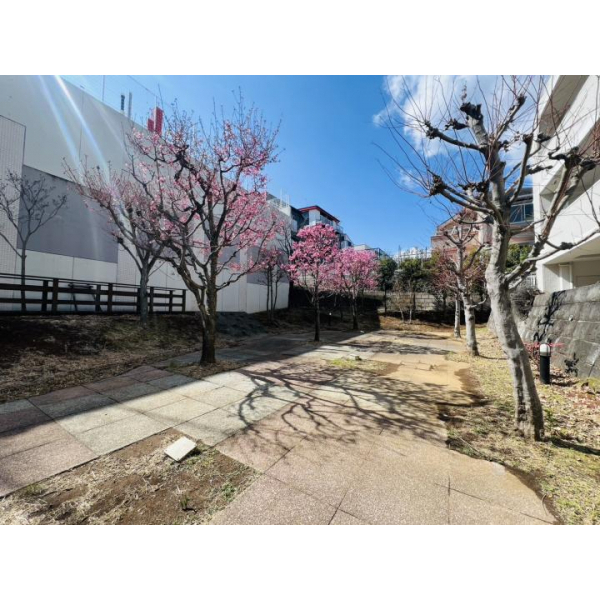 小田急コアロード読売ランド前 その他画像