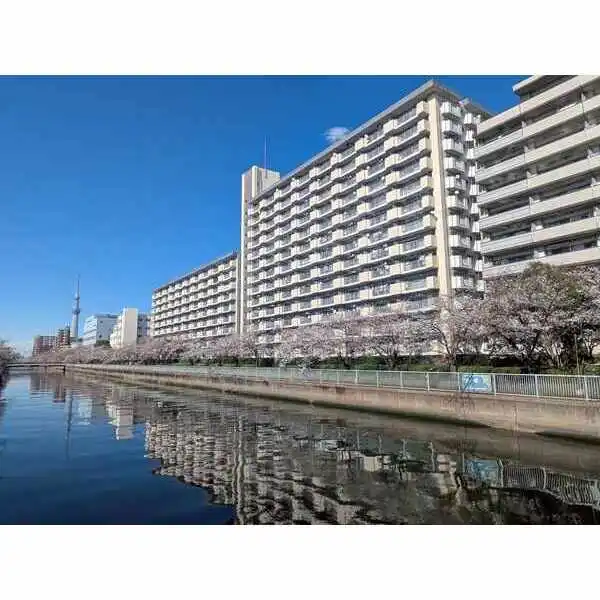 シティコープ千石 外観