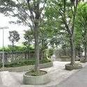 グリーンパーク鳩ヶ谷A棟 中庭