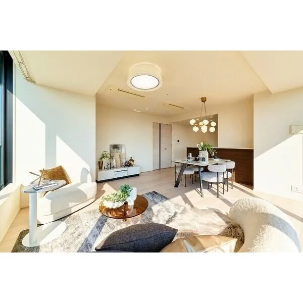 ザ・パークハウス中之島タワー その他画像