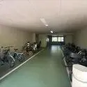 ジオ緑地公園一番館 その他画像