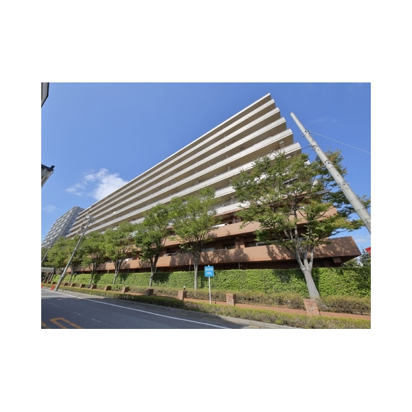 レクセルマンション幕張ブリーズ その他画像