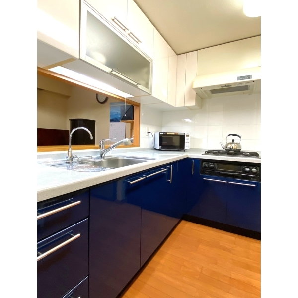 レクセルマンション幕張ブリーズ その他画像