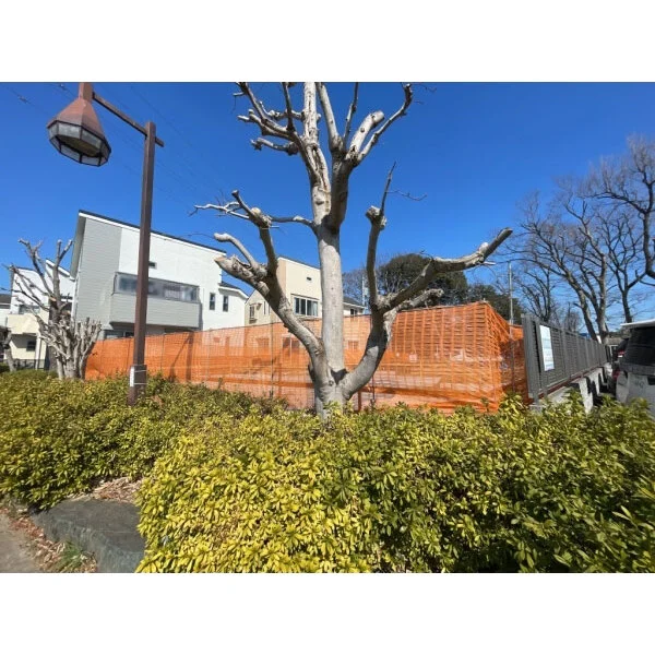 府中市四谷４丁目 その他画像