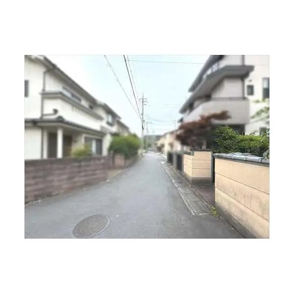 京都市右京区嵯峨朝日町 その他画像