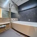 ライオンズマンション飯田橋駅前 1418サイズの浴室