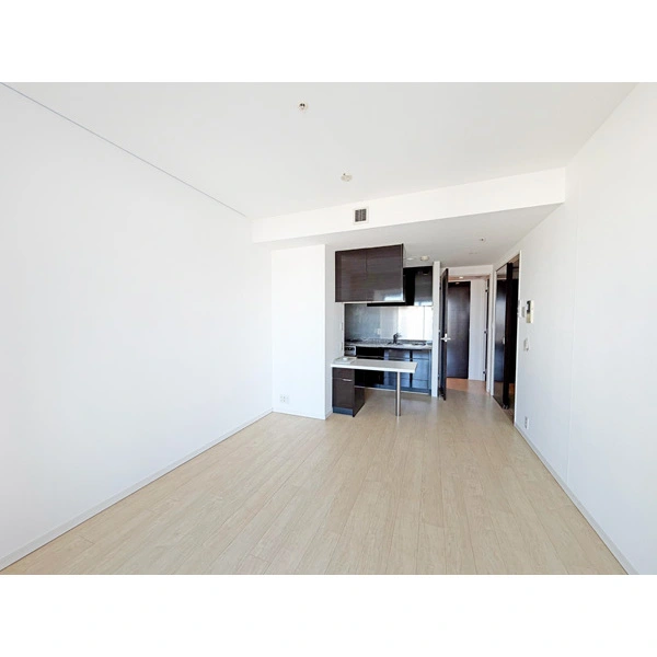 シティタワーズ豊洲ザ・ツイン その他画像