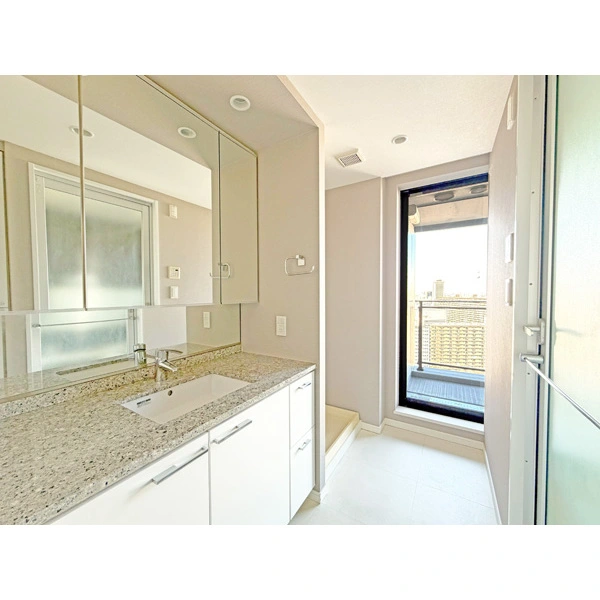 シティタワーズ豊洲ザ・ツイン その他画像