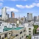 ディアナガーデン西麻布 バルコニーからの眺望（眺望は永続的に保証されるものではありません）