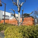 府中市四谷４丁目 その他画像