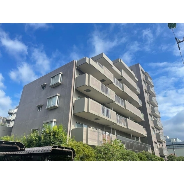 ライネスハイム志村 その他画像
