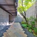 南青山テラス常盤松フォレスト アプローチ