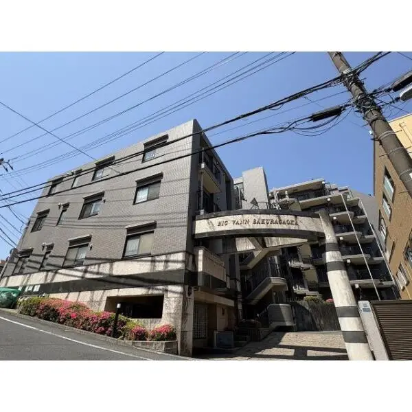 ビッグヴァン桜ヶ丘 外観