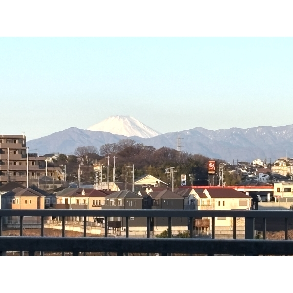 グランレーヴ小机 その他画像