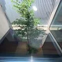 世田谷区深沢６丁目 吹き抜け