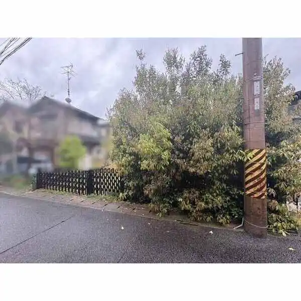 京都市右京区鳴滝音戸山町 その他画像