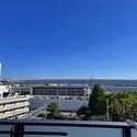 シエリア西宮武庫川 その他画像