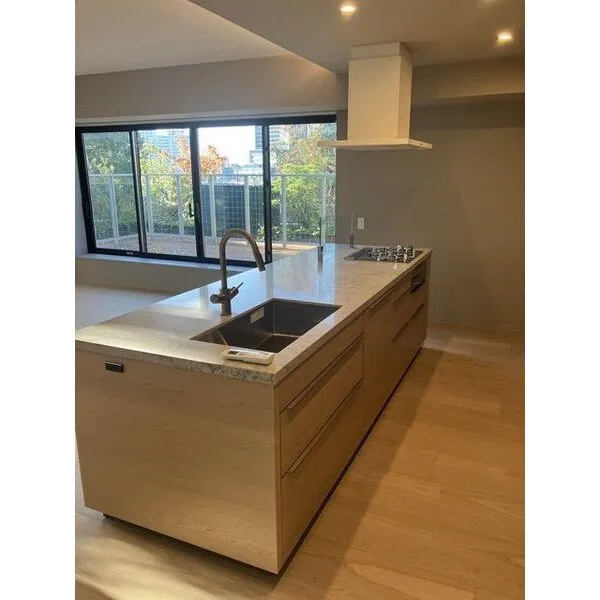 グランドメゾン代官山　ＴＨＥ　ＰＡＲＫ その他画像