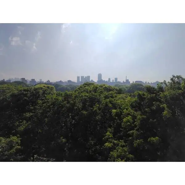 藤和シティホームズ六義園 その他画像