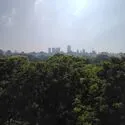 藤和シティホームズ六義園 ■リビング・和室からは隣接する六義園の緑や都心のビル群を臨めます