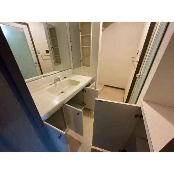 ライオンズマンション千葉鷹の台 洗面所収納