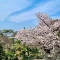 ヴィークステージ練馬豊玉楓ハウス 眺望(撮影年月：2026年03月)