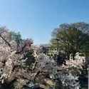 ヴィークステージ練馬豊玉楓ハウス 眺望(撮影年月：2026年03月)