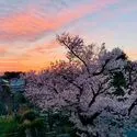 ヴィークステージ練馬豊玉楓ハウス 眺望(撮影年月：2026年03月)