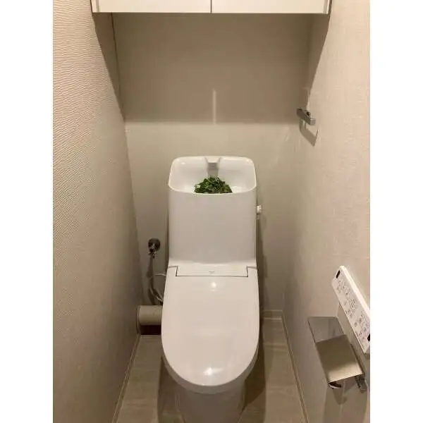 ル・グランデ梅田東 トイレ