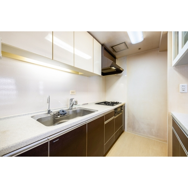 キャメリアタワー川口 その他画像