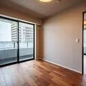 コンシェリア西新宿ＴＯＷＥＲ´Ｓ　ＷＥＳＴ 洋室(1)