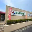 平塚市虹ケ浜 しまむらストアー　すみれ平店（スーパー）まで約430m（徒歩6分）