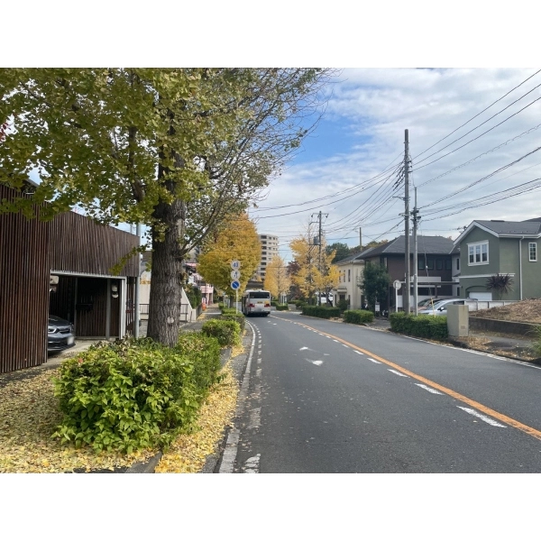 横浜市都筑区早渕１丁目 前面道路