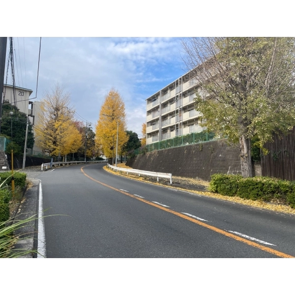 横浜市都筑区早渕１丁目 前面道路