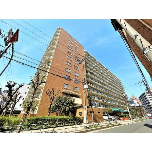 コープ野村扇町 外観