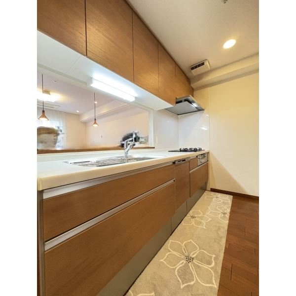 グランドメゾン泉 その他画像