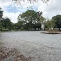 横浜市泉区中田東１丁目 しらゆり公園（公園）まで約400m（徒歩5分）